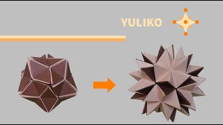 Origami Revealed Flower / Pop Up Star