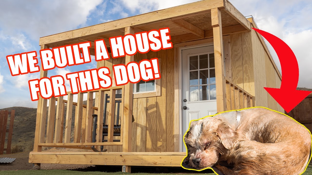Final Reveal of the Tiny Home for a Blind and Deaf Senior Dog - Senior Neighborhood Episode 8