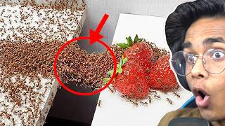 1,000 Ants vs. Obstacles😱