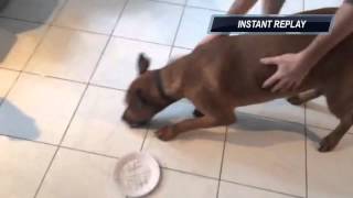 Bret Loughton NFL Draft Lottery 2014