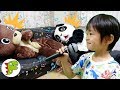 レオくんが楽器で演奏するよ！クマさんとパンダさんを起こしてあげよう！ トイキッズ