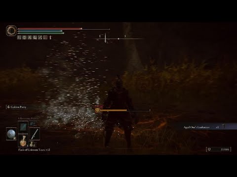 ELDEN RING - How to Defeat the Untouchables - Abyssal Woods - Golden Parry