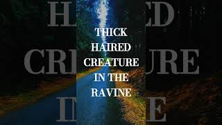 THICK HAIRED CREATURE IN THE RAVINE #shorts #shortsfeed #bigfoot #stories #creepy #creepystories