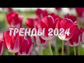 🌷Танцуй если знаешь этот тренд 2024 года🌷