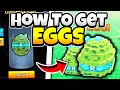 How To Get Eggs In Raise Animals