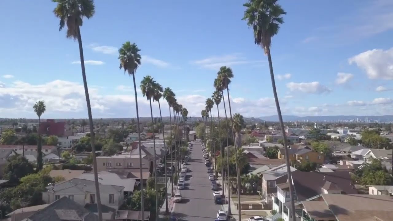 West Coast VW Bus Transformed into a West Coast Custom Classic - Interior Design