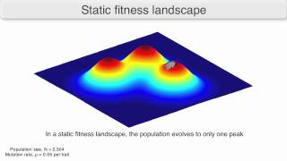 Using fitness landscapes to visualize evolution in action screenshot 5