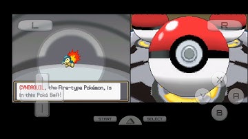 just test the randomizer cheat in Drastic.