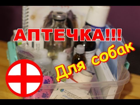 Аптечка для собак!!!