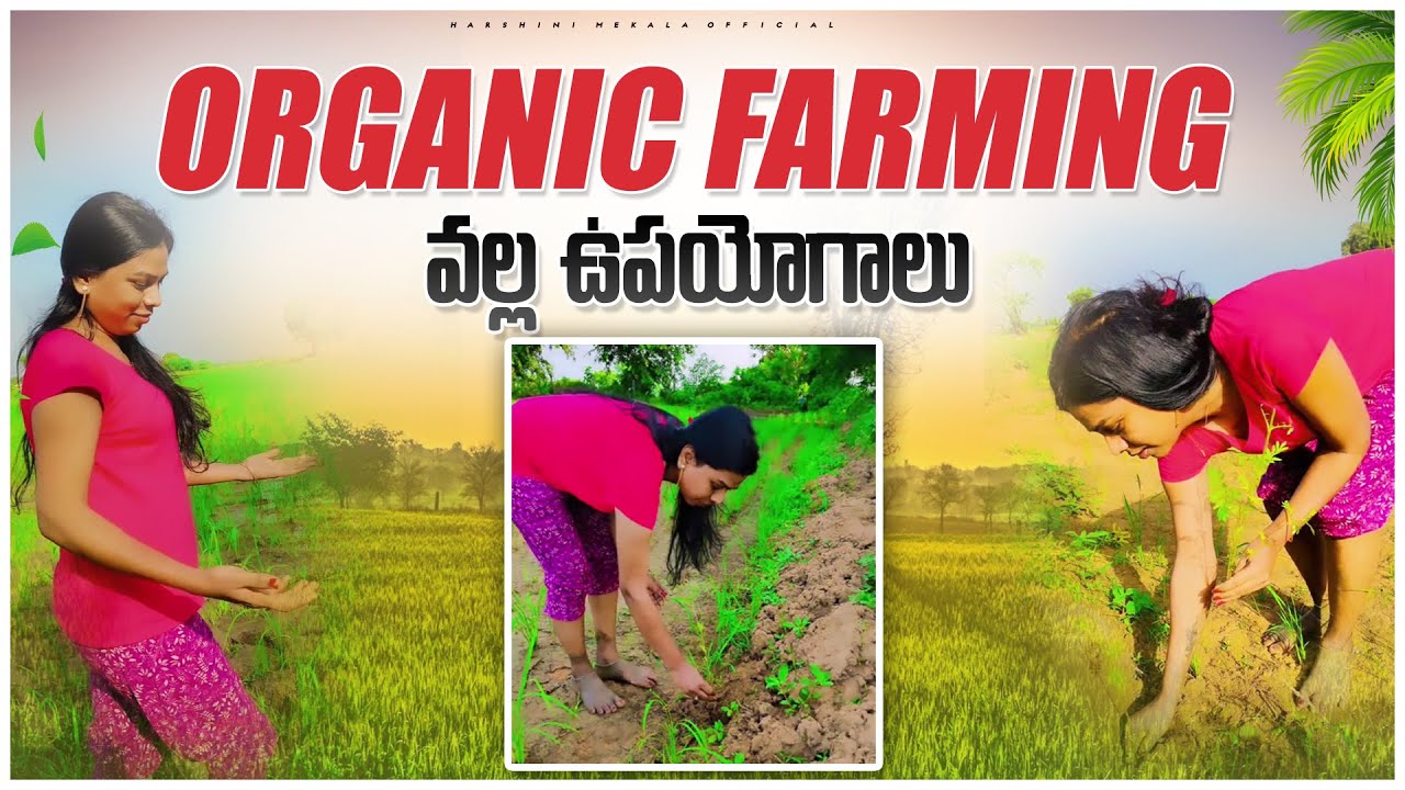 Organic Farming వల్ల ఉపయోగాలు.|| TRANS GENDER LIFE STYLE|| MODERN HARSHINI
