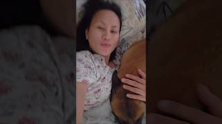 Download Lagu She said hi to Mama #belgianmalinios MP3 Download Lagu She said hi to Mama #belgianmalinios MP3