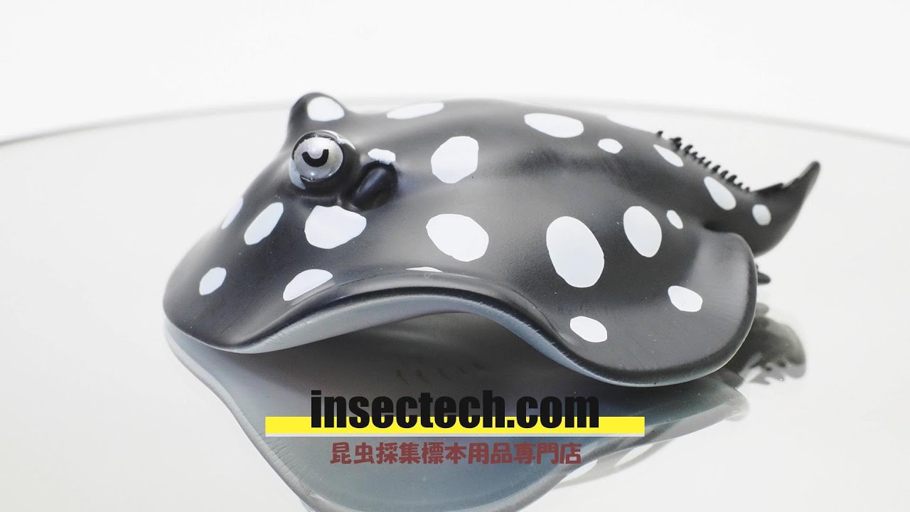 動物の惑星】ポルカドット・スティングレイ フィギュア - 昆虫採集