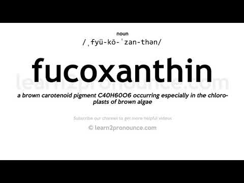 Pronunciation of Fucoxanthin | Definition of Fucoxanthin