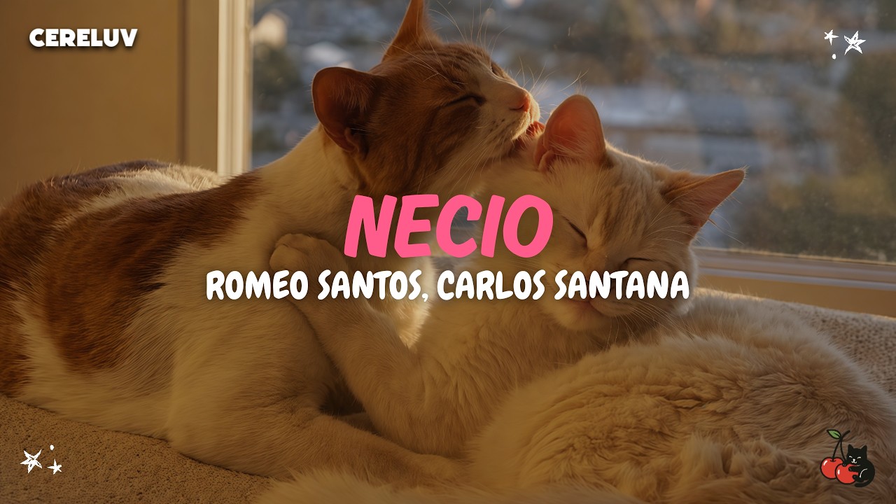 Romeo Santos, Carlos Santana - Necio (Letra)