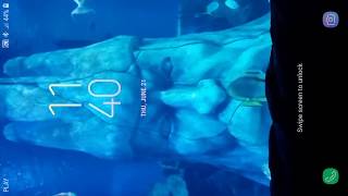 3D Fish Aquarium Live Wallpaper screenshot 3