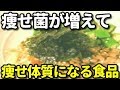 痩せ菌を増やし痩せ体質になる食品６選！太りにくい体質になりダイエット・健康に良い食べ物とは？知ってよかった雑学