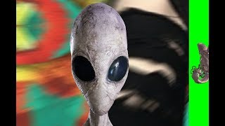 C tec +Foetal+