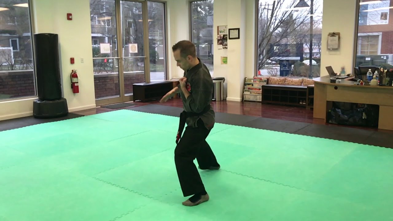 20B Combination Shaolin Kempo Martial Arts Techniques YouTube