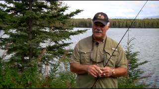 ABC Motorhome Rental in Alaska