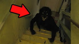 Top 5 GHOST Videos That Will SATISFY Your Horror DOSE - English Subtitles