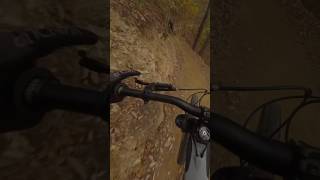 I Almost Had A Huge Crash On This High Speed Downhill Trail