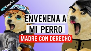 Madre con derecho envenena a mi perro - Hilo con Chems