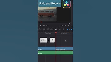 How to Undo and Redo in DaVinci Resolve | Tutorial