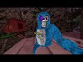 joining my fan code part 1