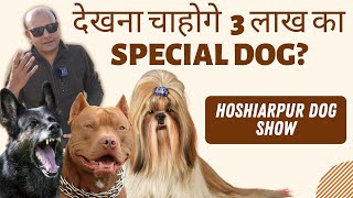 Dog Worth 3 LAKHs , I found it in Dog Show | Most Expensive Dog Breed in India | Baadal Bhandaari