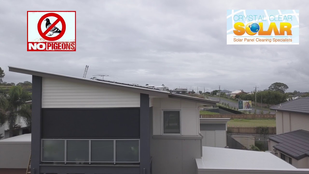 Solar Panel Pigeon Proofing-Crystal Clear Solar