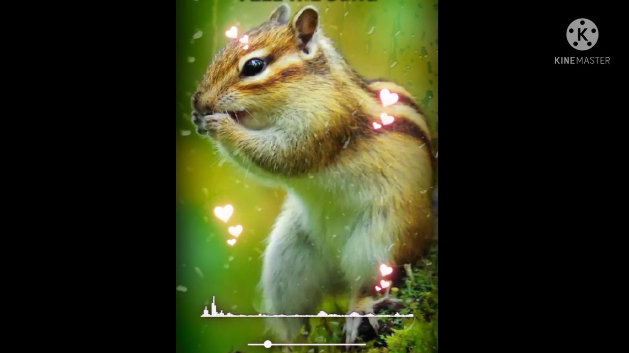 Pushpa item song Samantha Allu Arjun wanted mama one Tower song