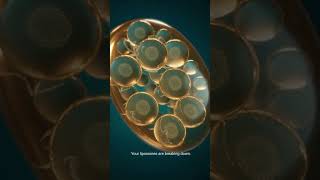 Your sunflower liposome supplement might be degrading RIGHT NOW on your shelf.  Here's what most com