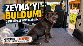🐕‍🦺 Zeynayı Buldum 🤗 Arabayı Görünce Tepkisi 😄 Civciv Bahçe Yapımına Başladım 🐣 Çiftlik Köy Hayatı 🌿
