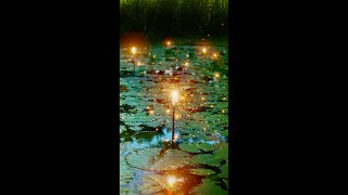 SWEET MEMORIES by Yuko Kimura