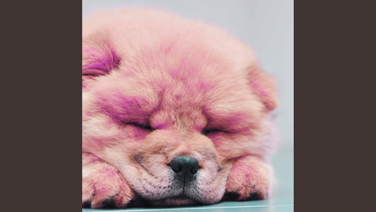 Superlative Moods for Safe Doggies