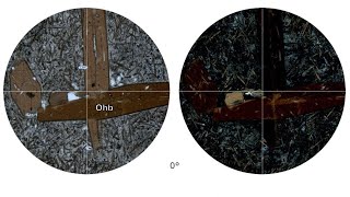 Virtual Microscope: Οξυκεροστίλβη / Oxyhornblende