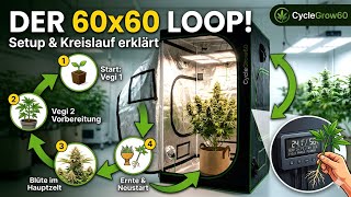 60x60 Loop - My Setup and the Cycle in Detail