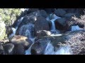 Yosemite National Park Cascade Creek Fall off Big Oak Flat Road into Yosemite Valley