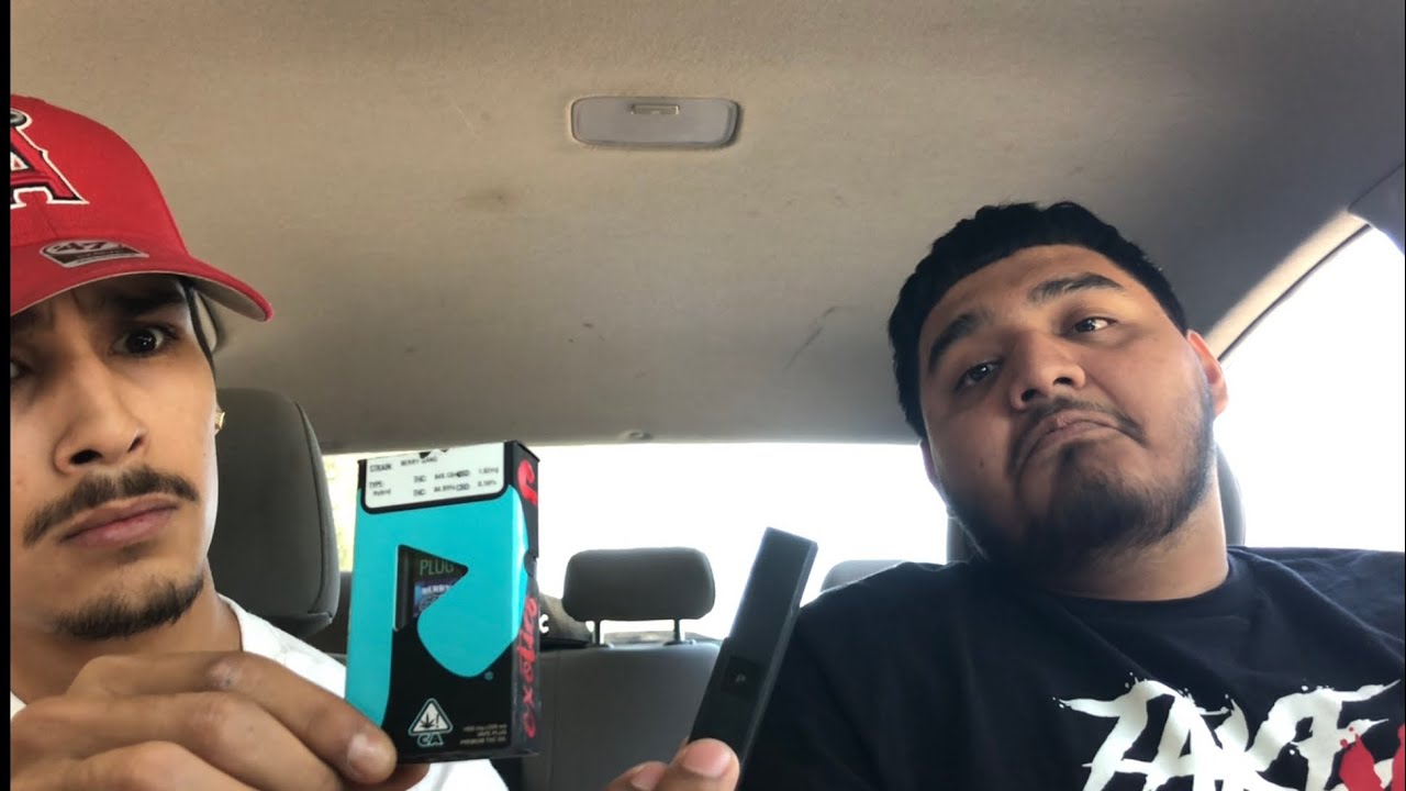 BERRY GANG PLUG N PLAY REVIEW YouTube