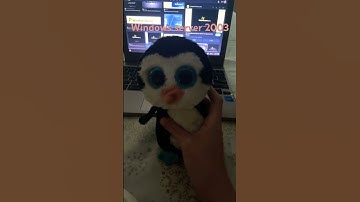 My Windows server 2003 commercial