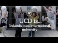 UCD Dublin Others(2) UCD Dublin Others(2)