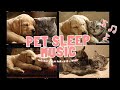 Cat Sleep Musid and Dog Sleep Music 🐾 | Sounds Pets Instinctively Trust to Feel Calm