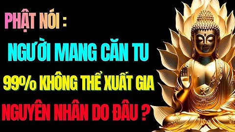 Người Mang Căn Tu 99% Không Thể Xuất Gia –Sự Thật Nghiệp & Bổn Nguyện Ít Ai Dám Nói|Tu Tâm Tĩnh Lặng