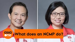 TLDR: What does an NCMP do?
