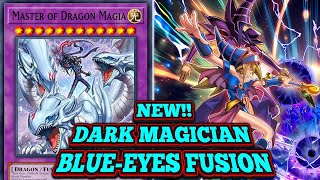 NEW Blue-Eyes Dark Magician Fusion: MASTER OF DRAGON MAGIA! • YUGIOH OCG TCG