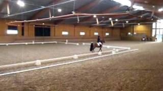 Dresyr KM Årsta runsten 20091212.AVI