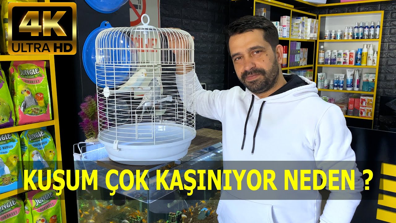 Kuşum Çok Kaşınıyor Neden ?