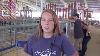 AV Fair 2017: 4H & FFA Youth Talk About Their Animals - Part 2