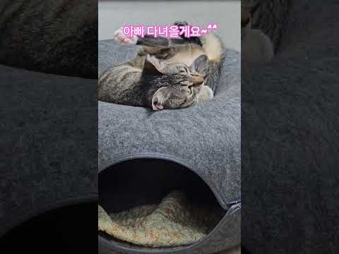 우리 딸 #햇살 #출근 #부산강서구 #구독 #좋아요 #감사합니다