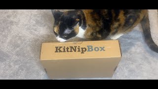 KitNipBox December 2022 Unboxing | Emmy is SO HAPPY!!!